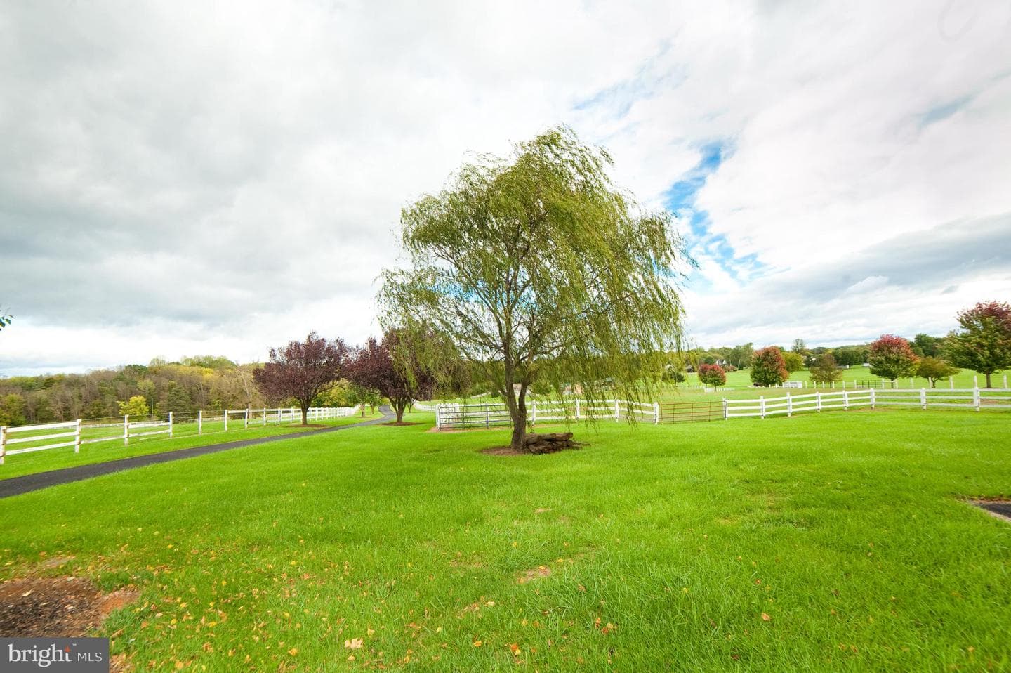 590 Carlyle Road photo 64