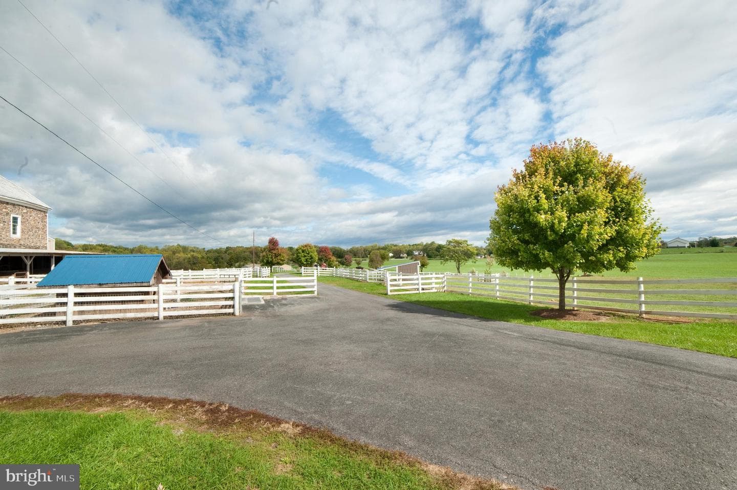 590 Carlyle Road photo 65
