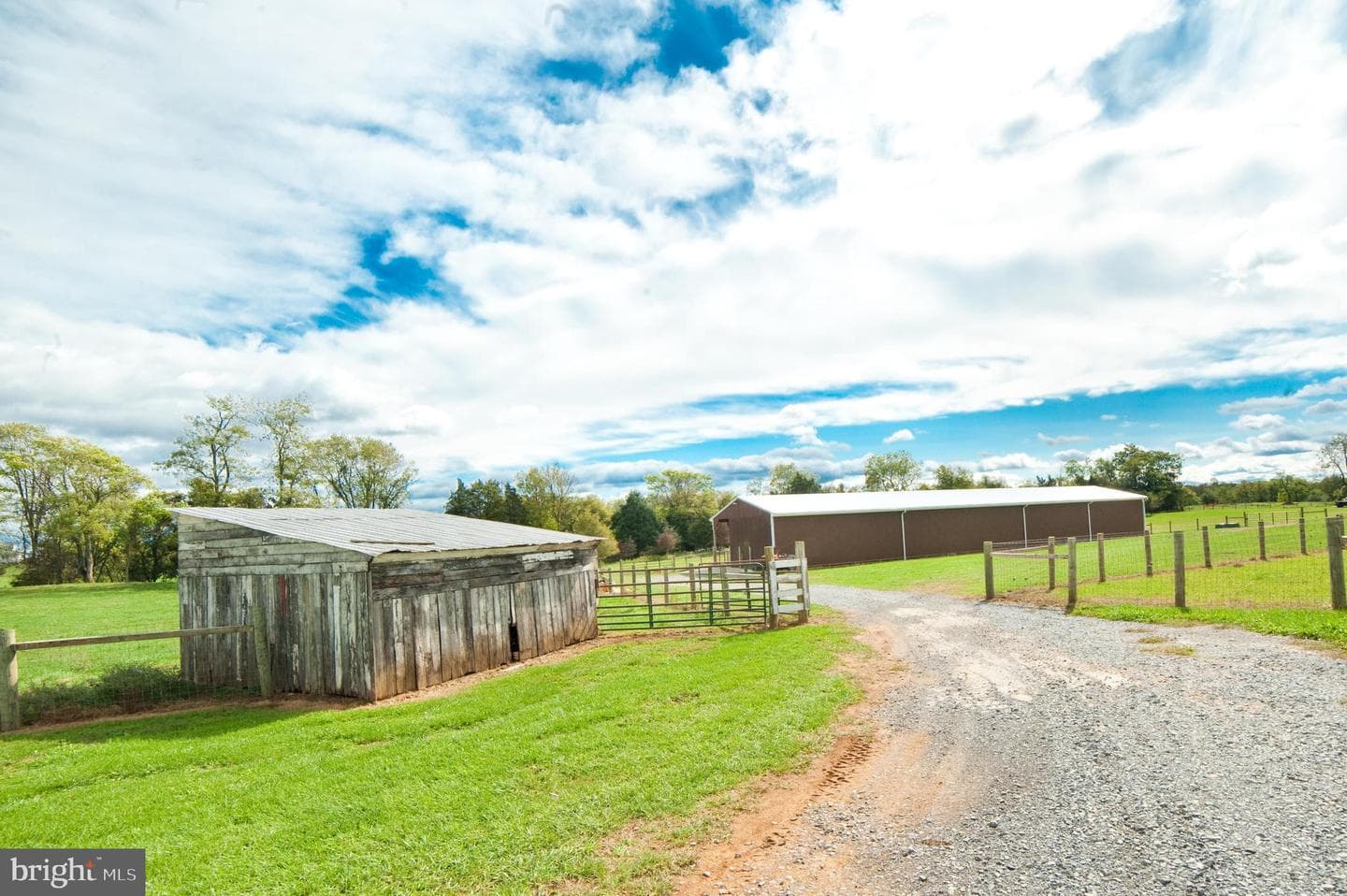 590 Carlyle Road photo 69