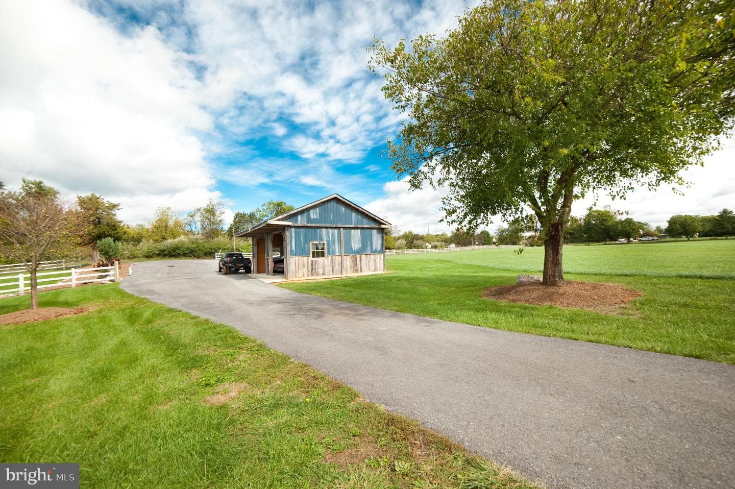 590 Carlyle Road photo 77