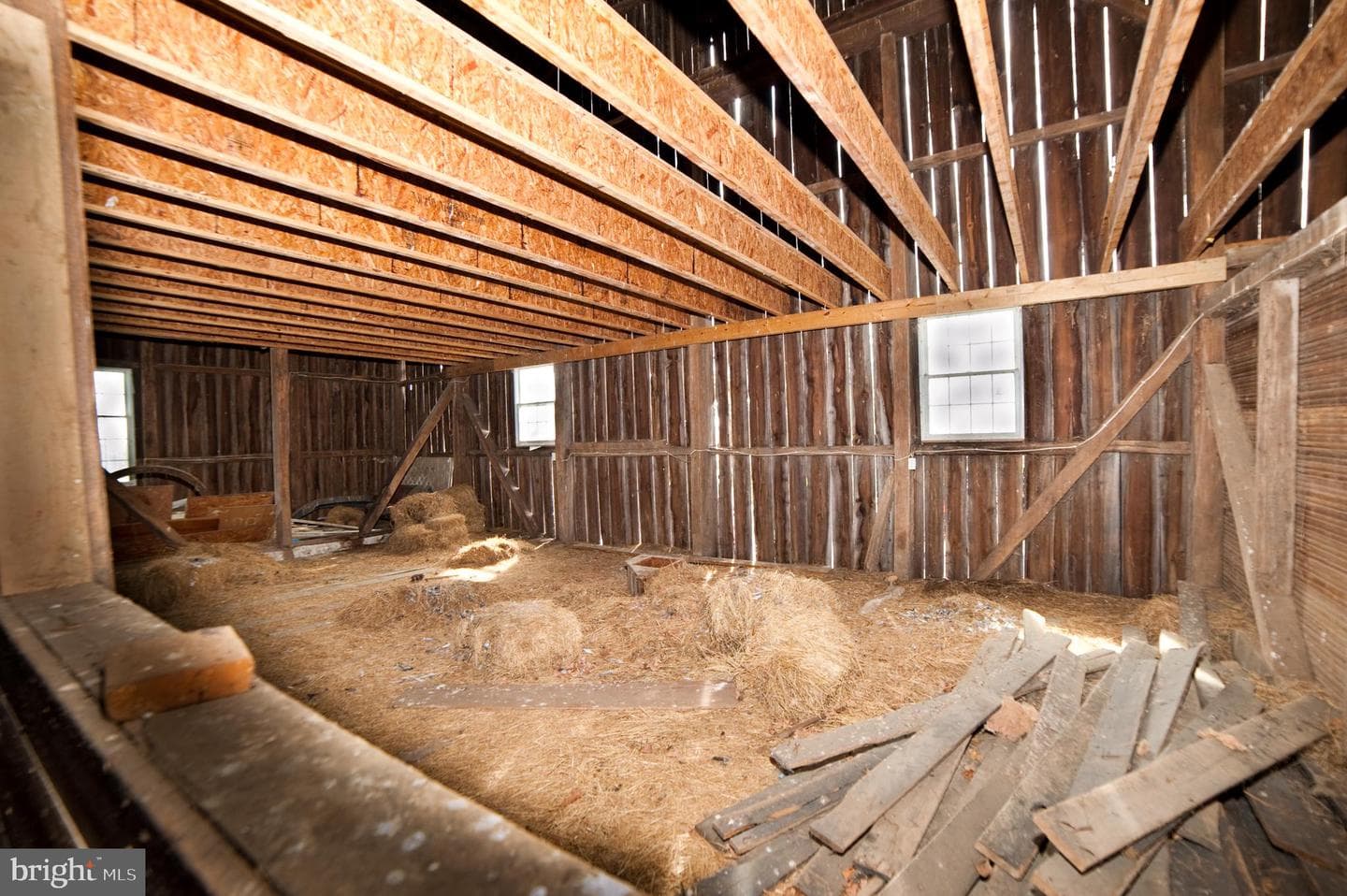 590 Carlyle Road photo 88