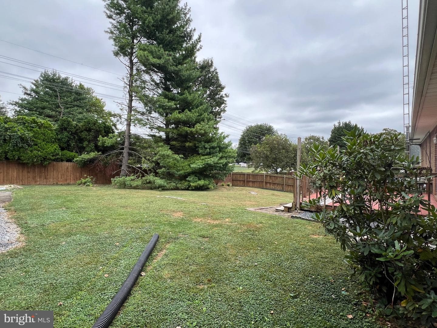 905 Hillcrest Drive photo 4