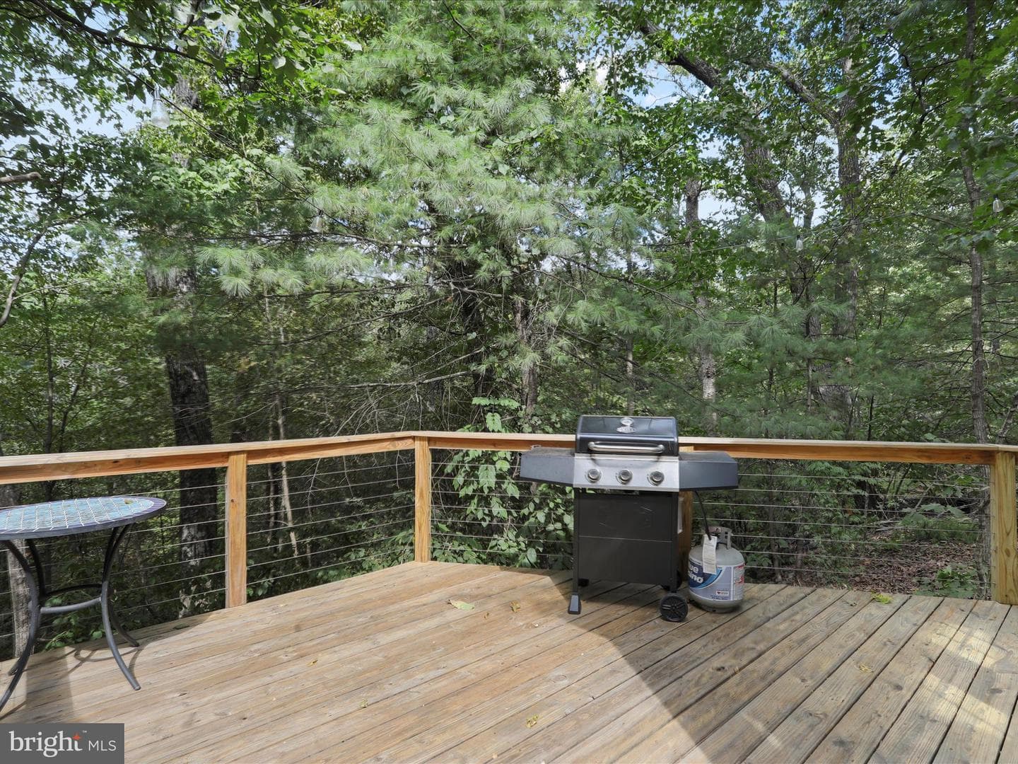 82 Sassafras Lane photo 38