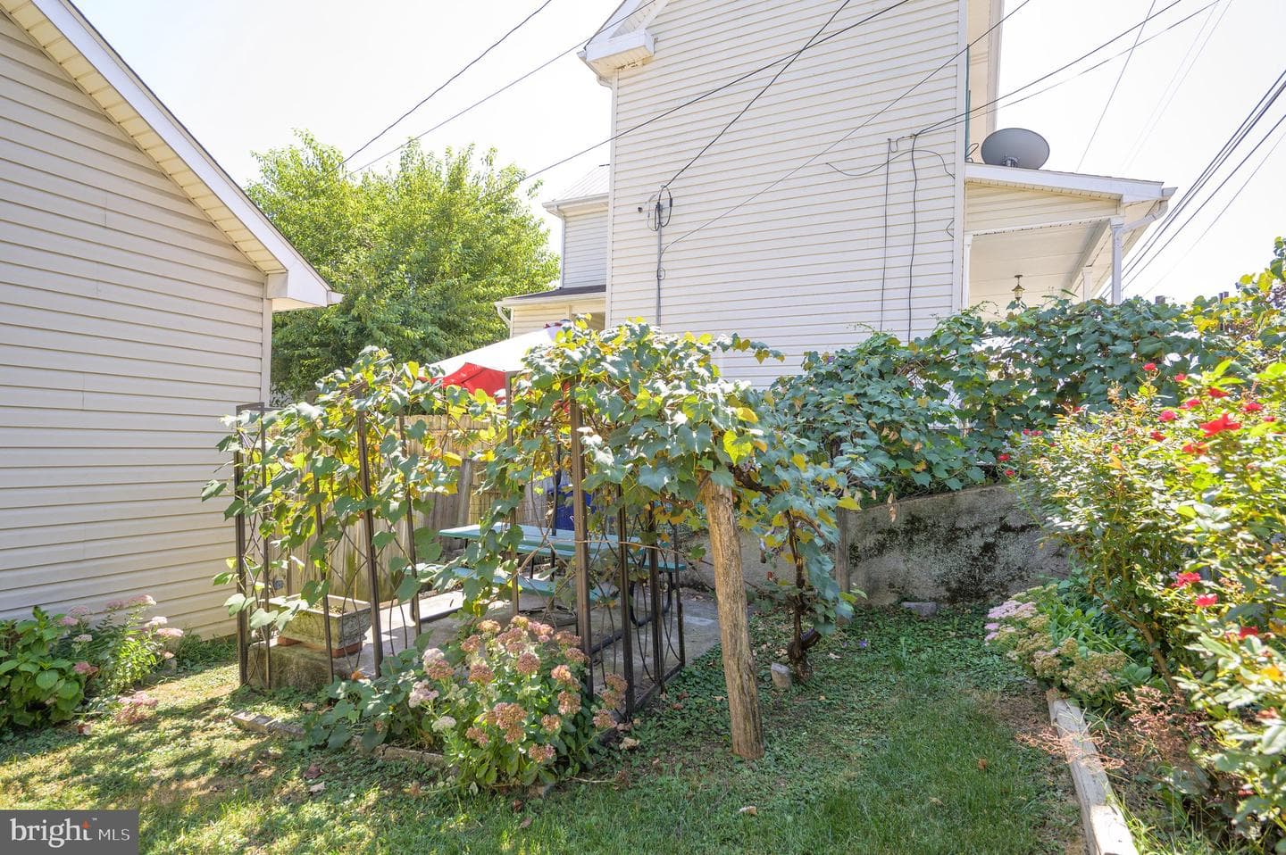 485 Porter Avenue photo 23