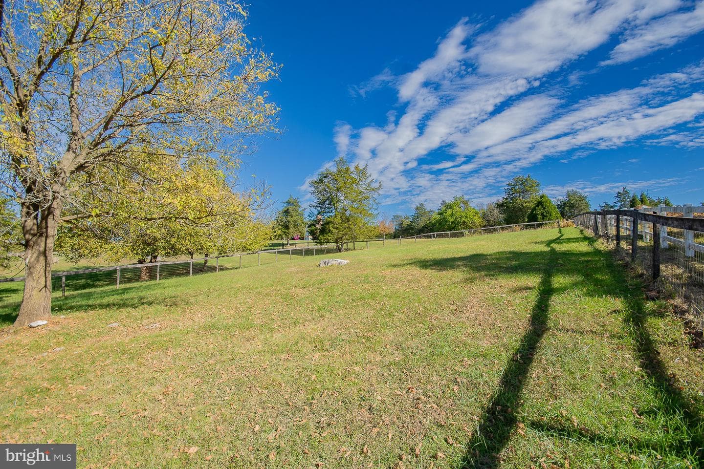 78 Colonel Myers Drive photo 49