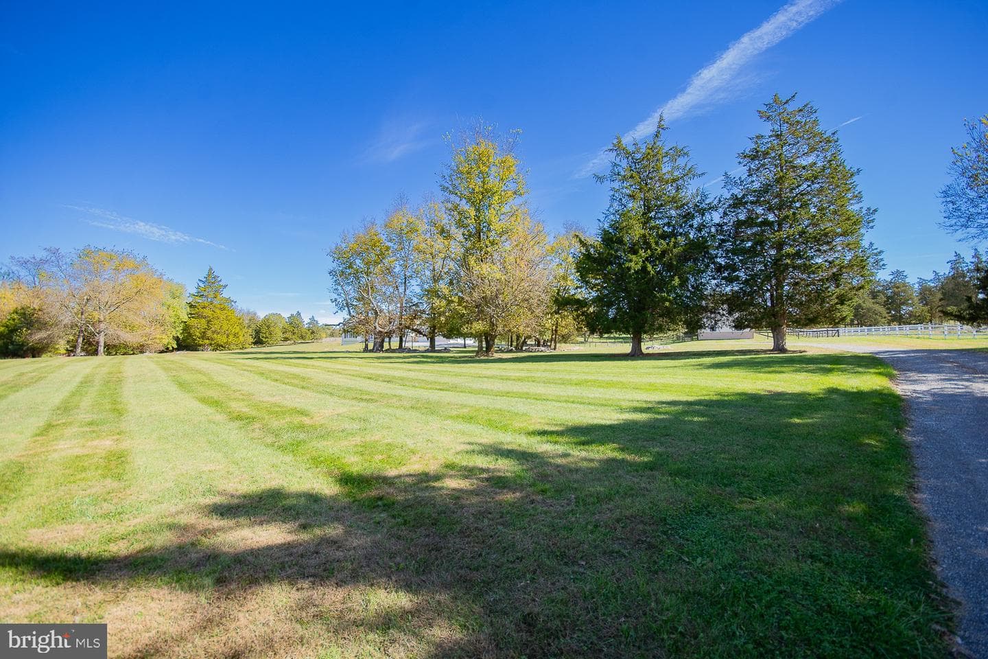 78 Colonel Myers Drive photo 7