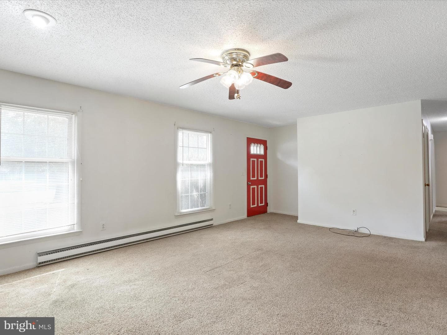 523 Richard Street photo 4