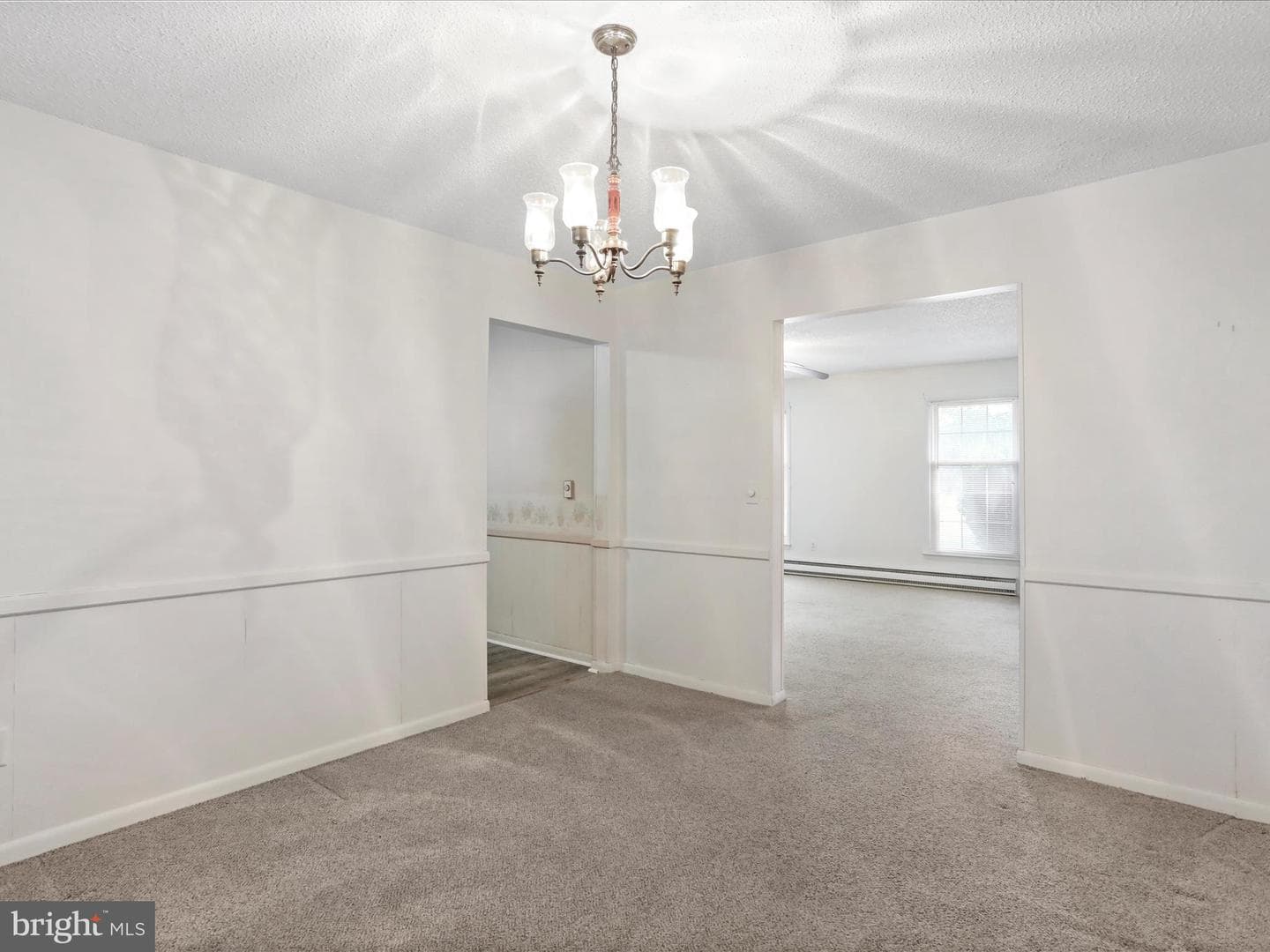 523 Richard Street photo 8