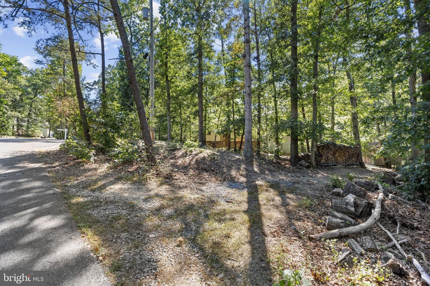 145 Basswood Drive photo 62