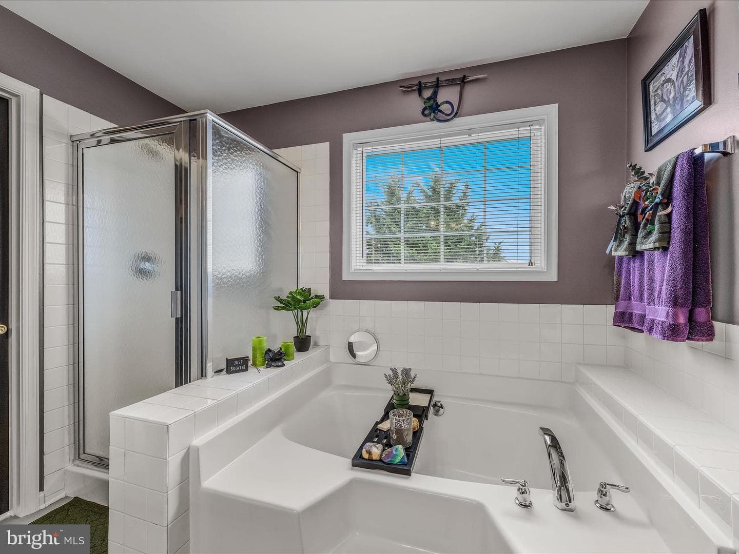 554 Braeburn Drive photo 22