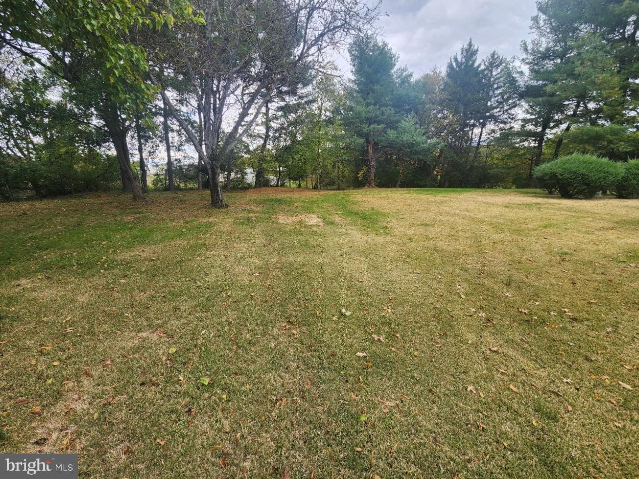231 Jenny Wren Drive photo 12
