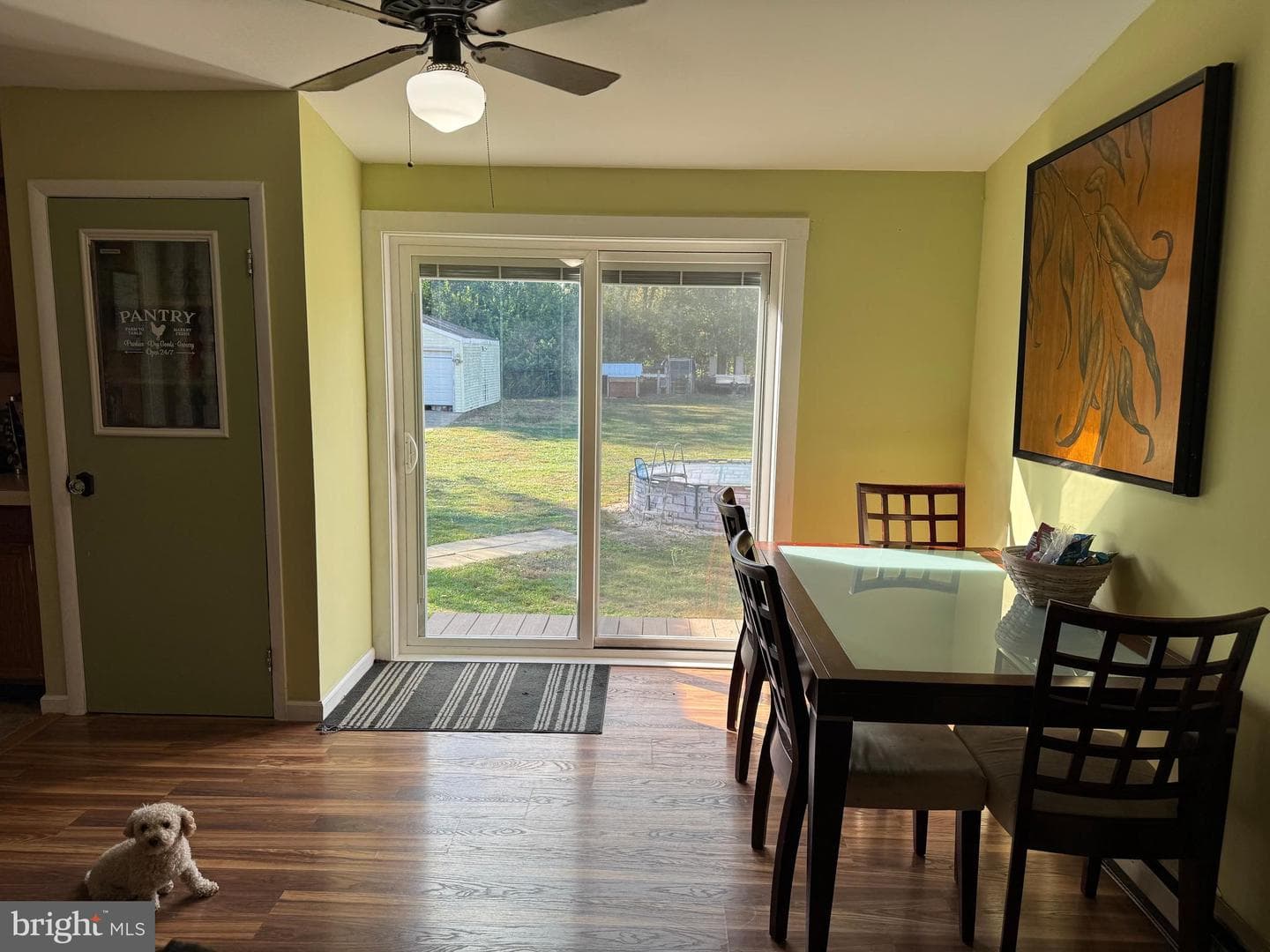 382 Fegan Road photo 14