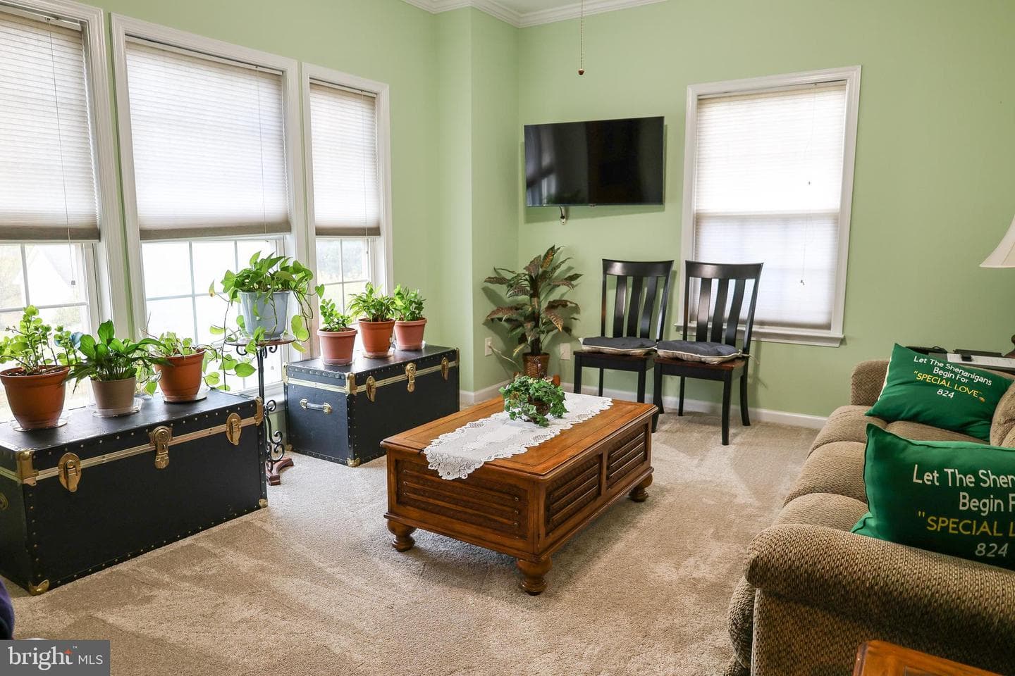139 Pinnacle Drive photo 39