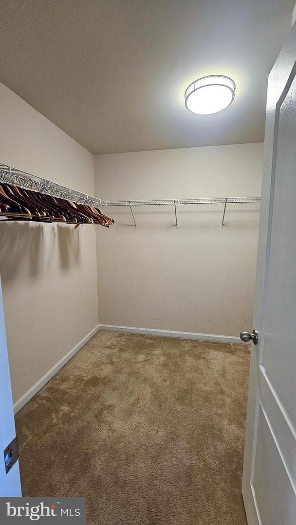 86 Dinwiddie Way photo 47