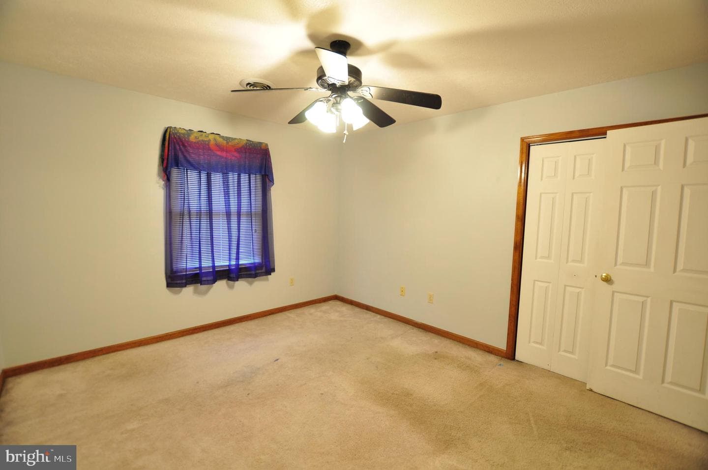 347 Irish Lane photo 34