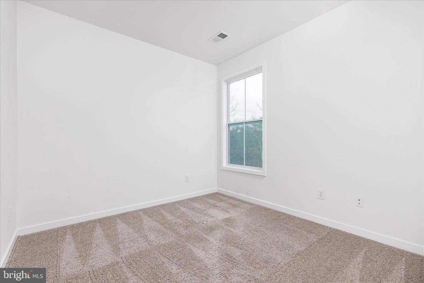 86 Cilantro Lane photo 25