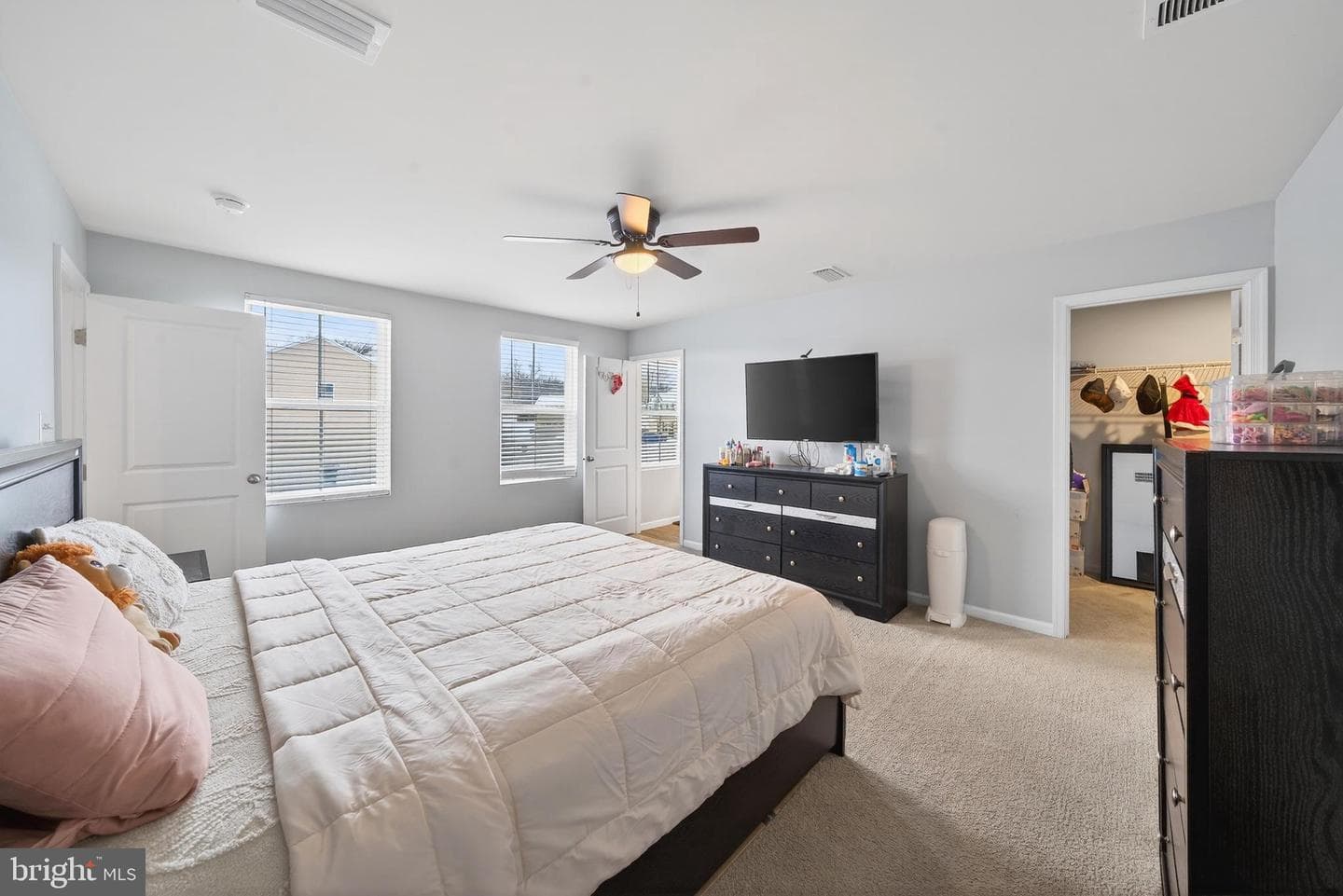 264 Salida Trail photo 18