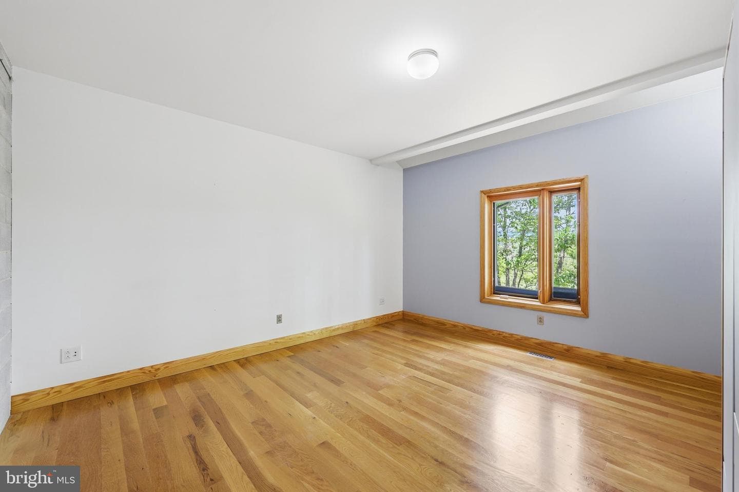 446 Broomgrass Way photo 29