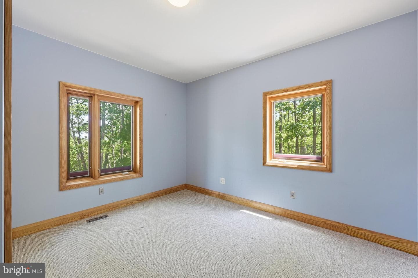 446 Broomgrass Way photo 35