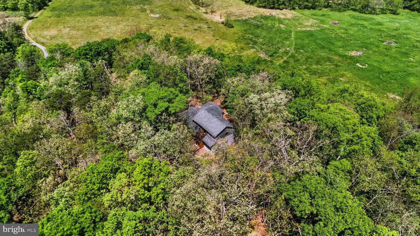 446 Broomgrass Way photo 47
