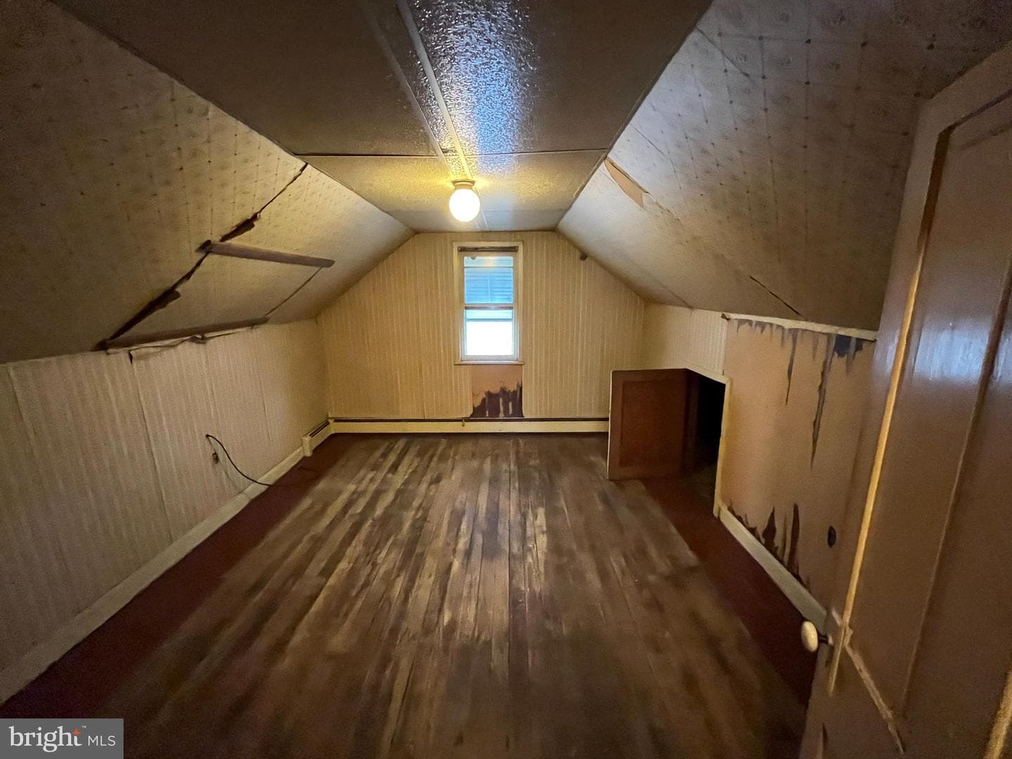 613 Albert Street photo 22