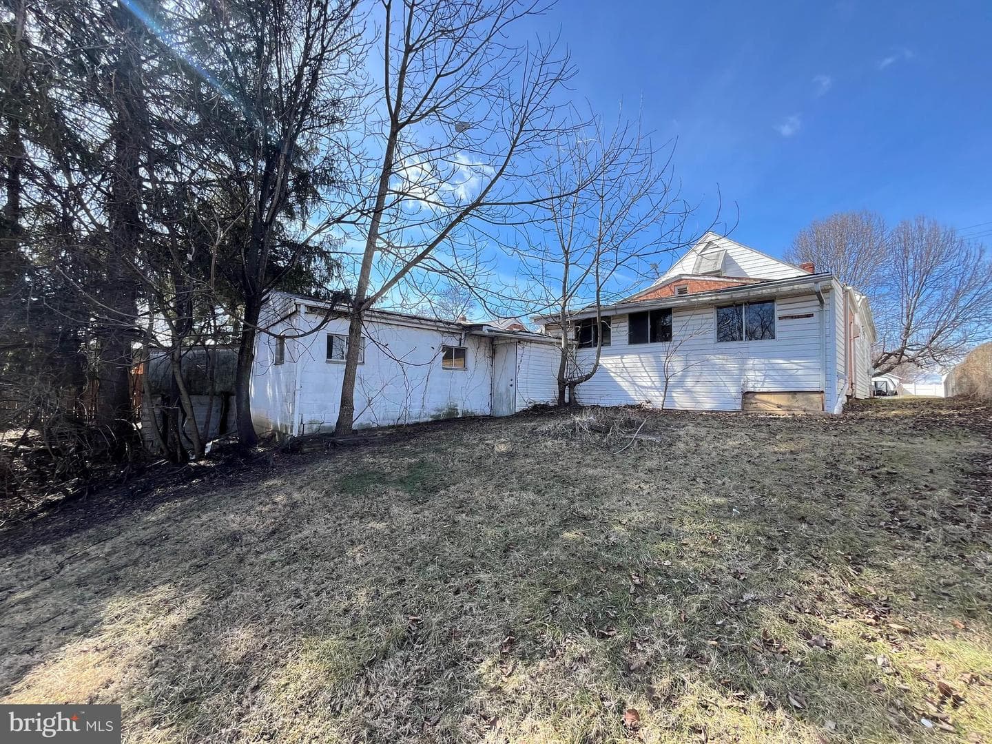 613 Albert Street photo 4