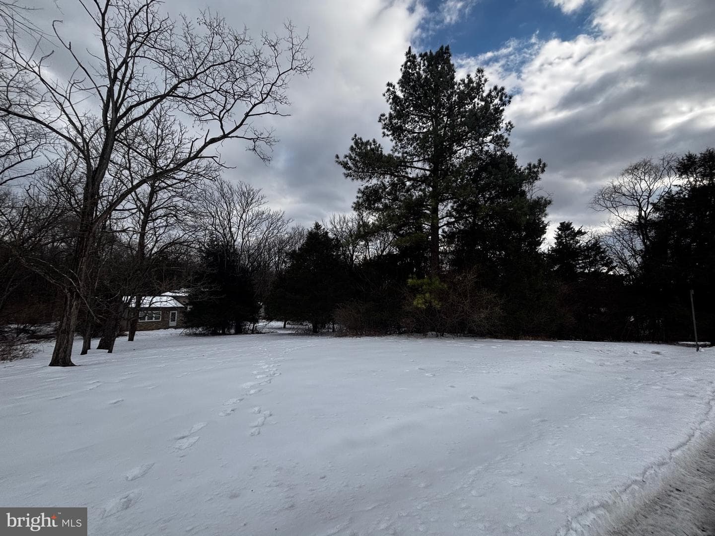 224 Ditto Farm photo 32