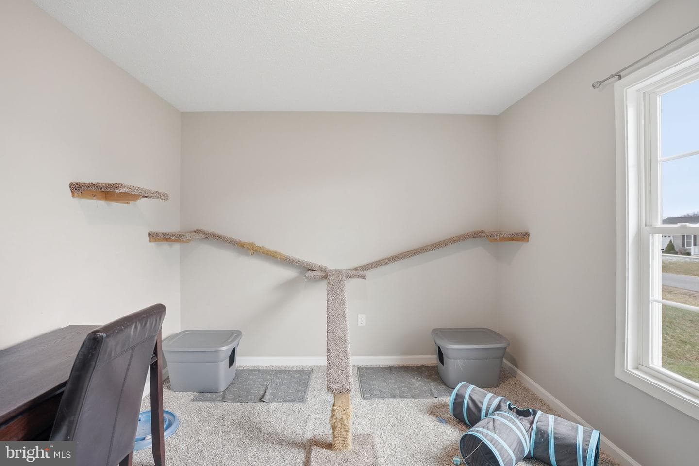 82 Latrobe Drive photo 39