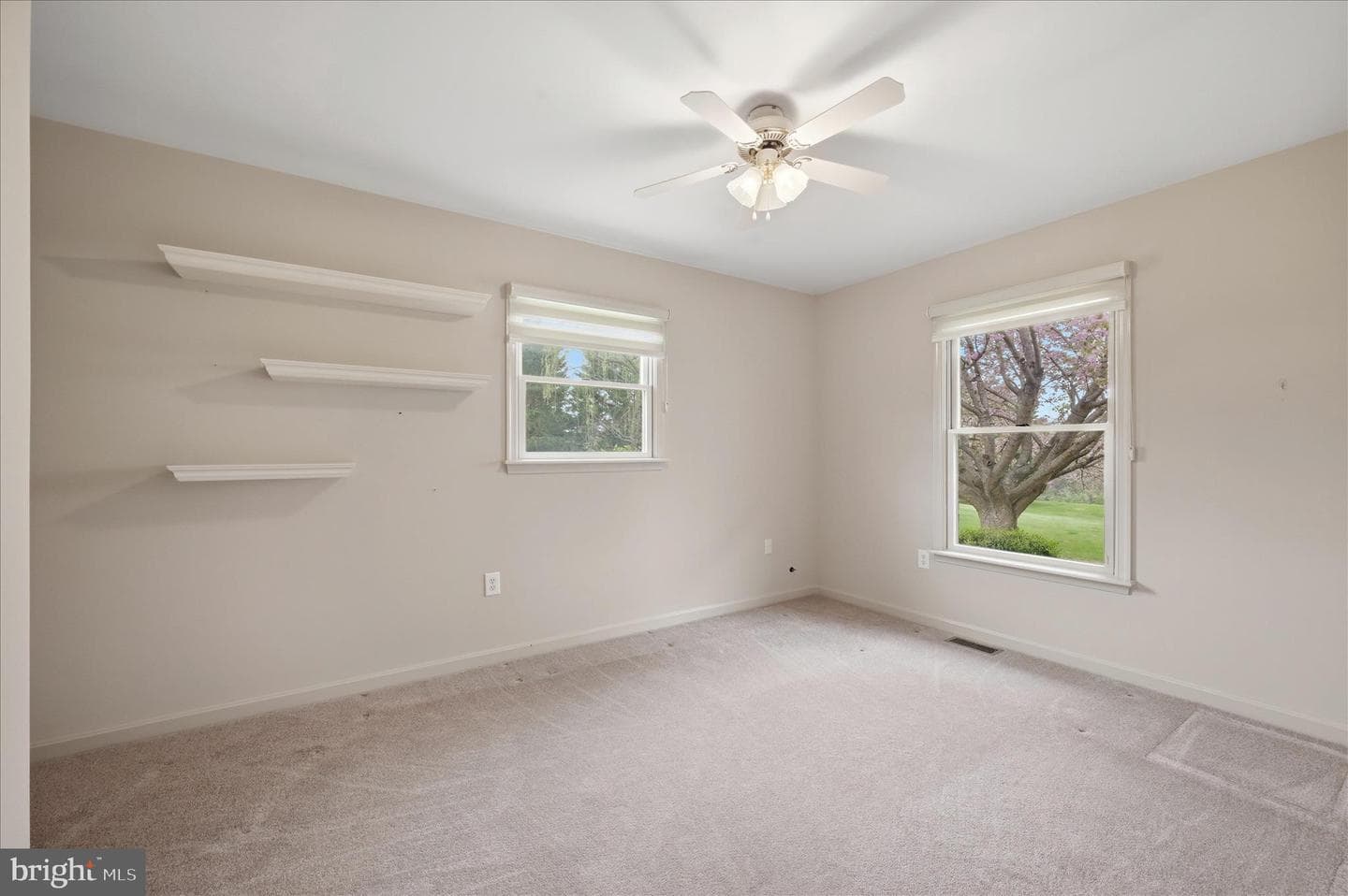 238 Comstock Drive photo 28