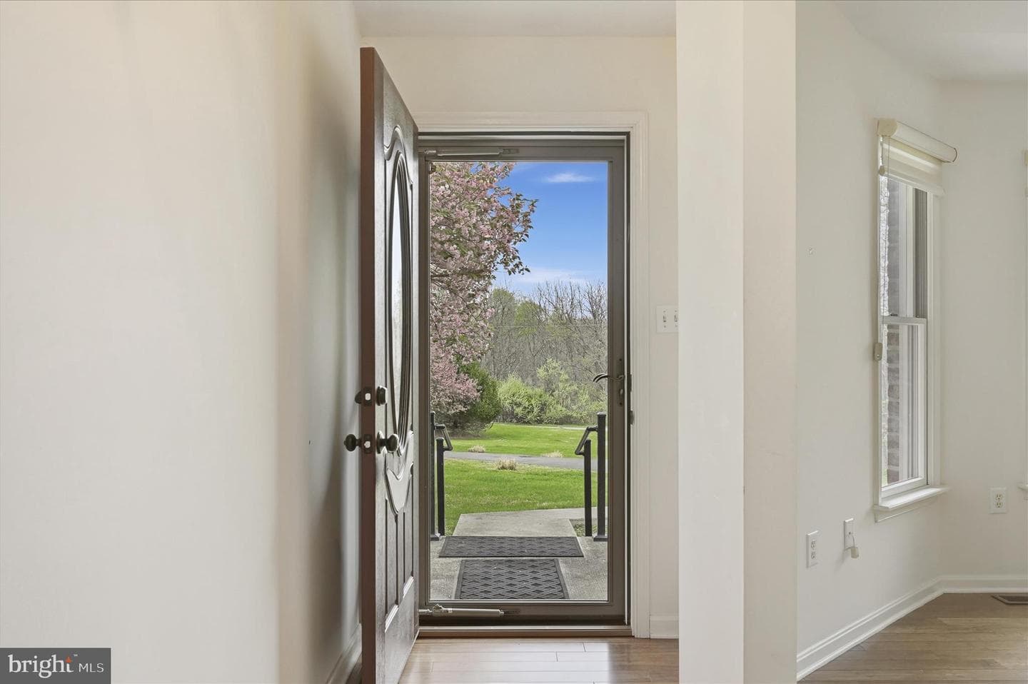 238 Comstock Drive photo 7