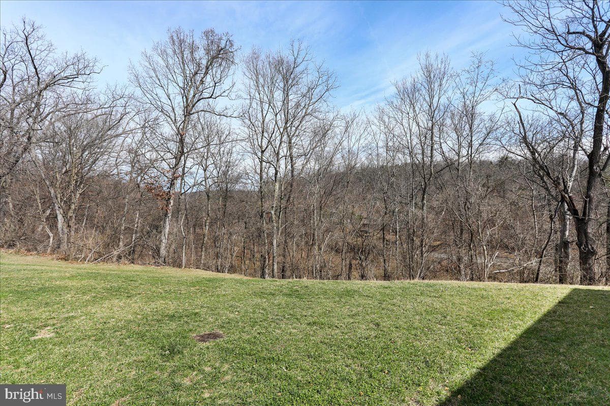 105 Whippet Court photo 21