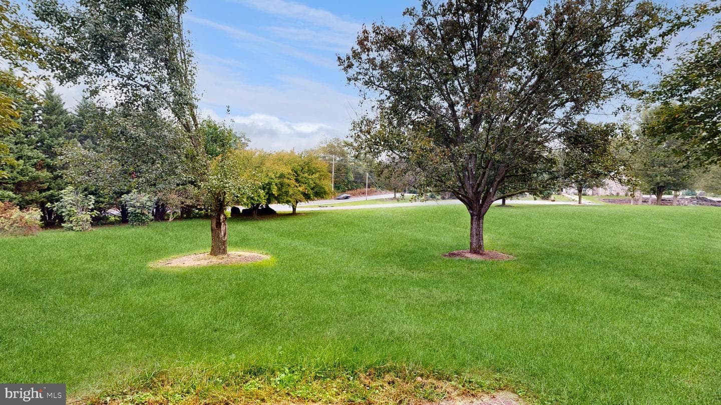 40 Marston Drive photo 29