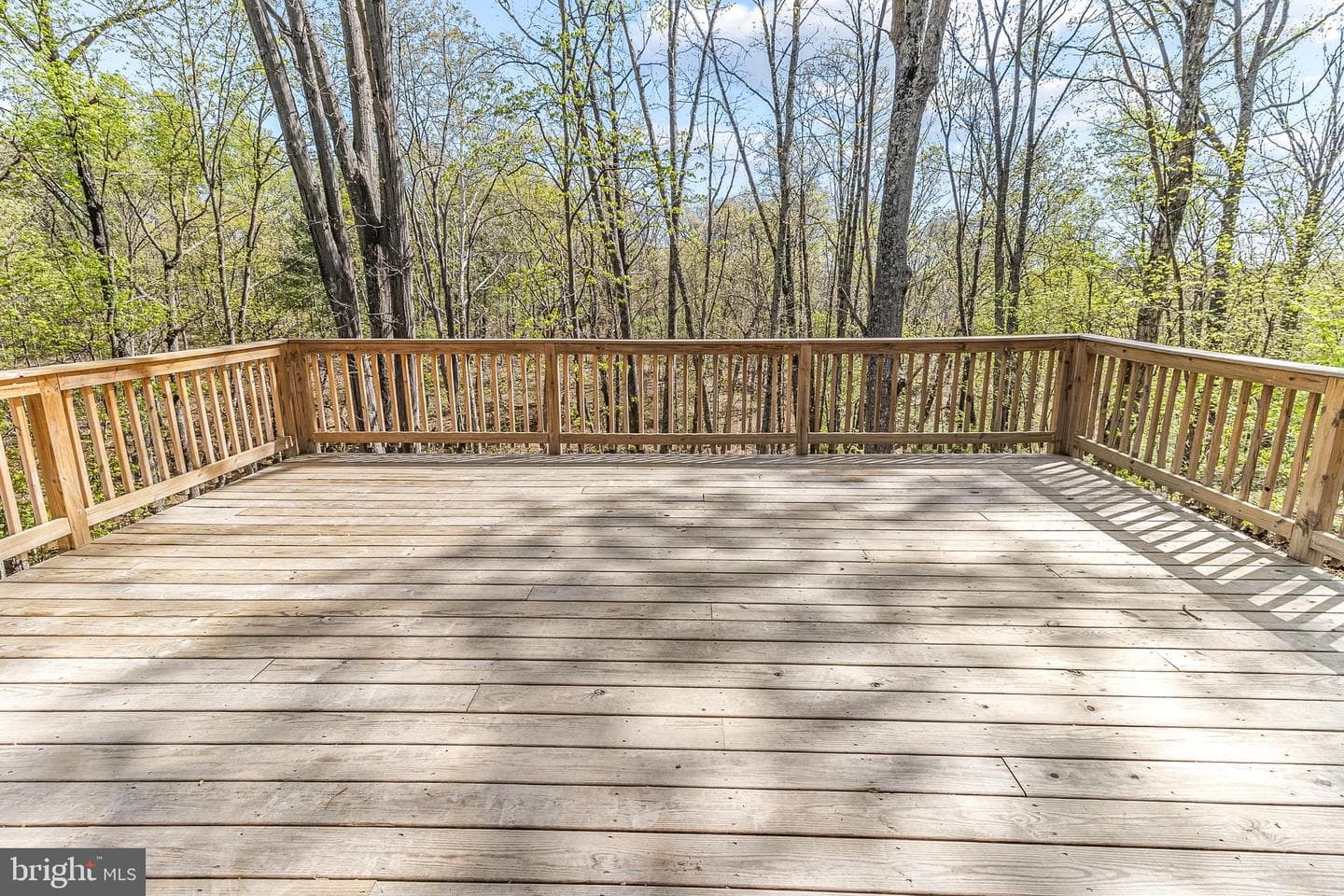 139 Cone Court photo 15