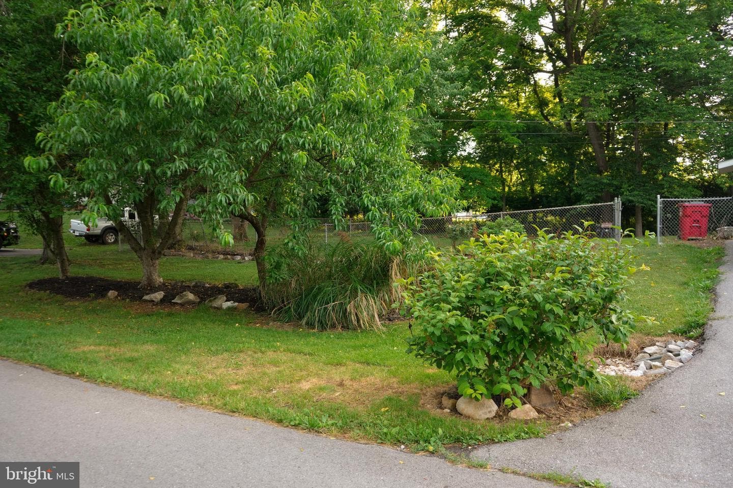184 Dexter Drive photo 4