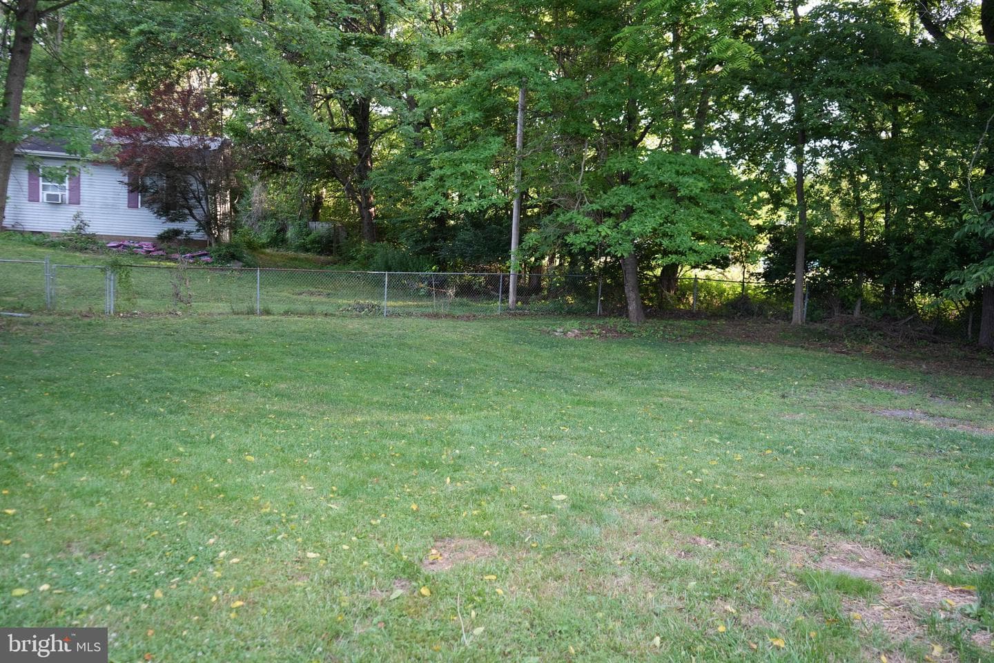 184 Dexter Drive photo 7