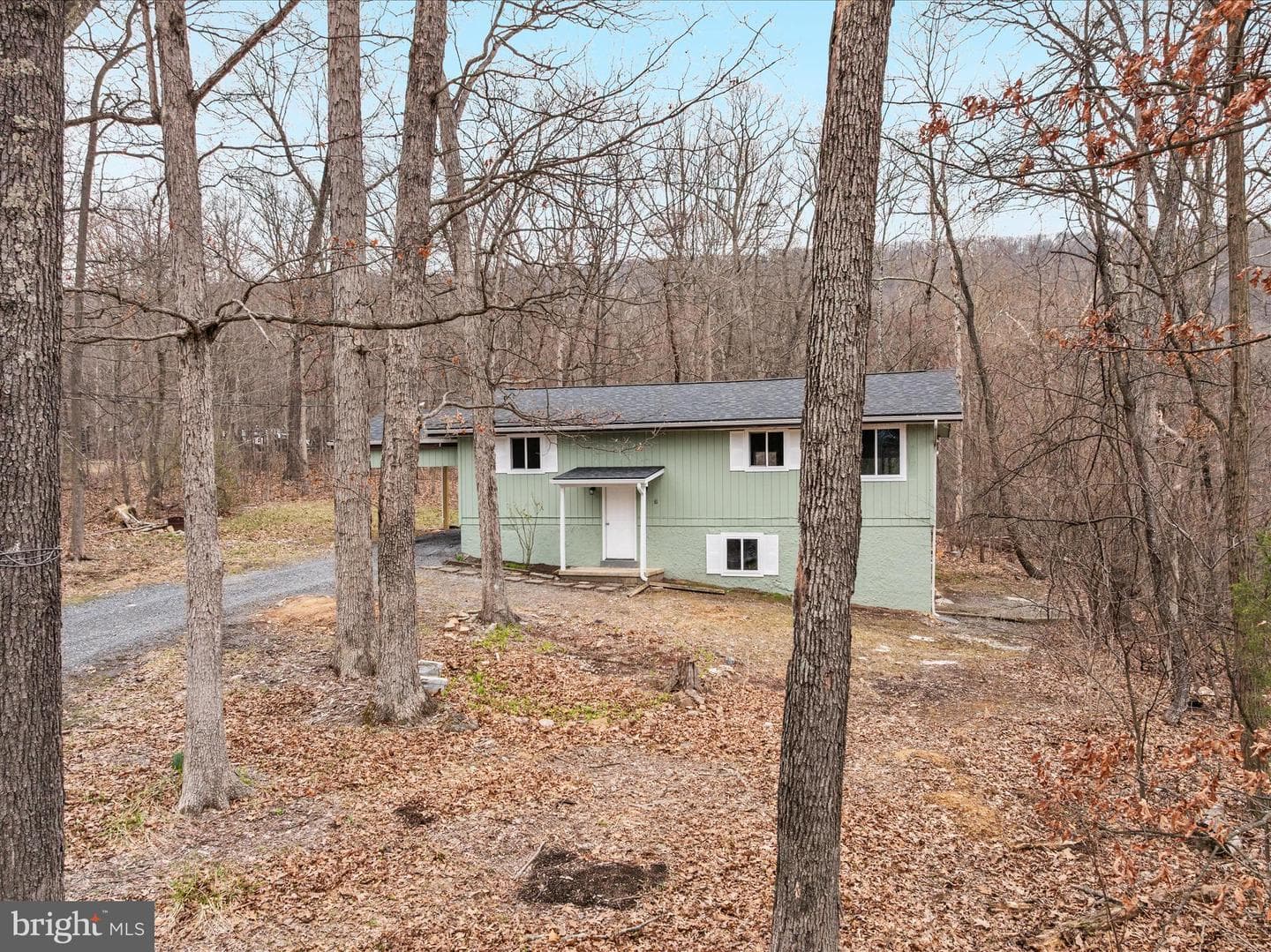 43 Cashew Lane photo 30