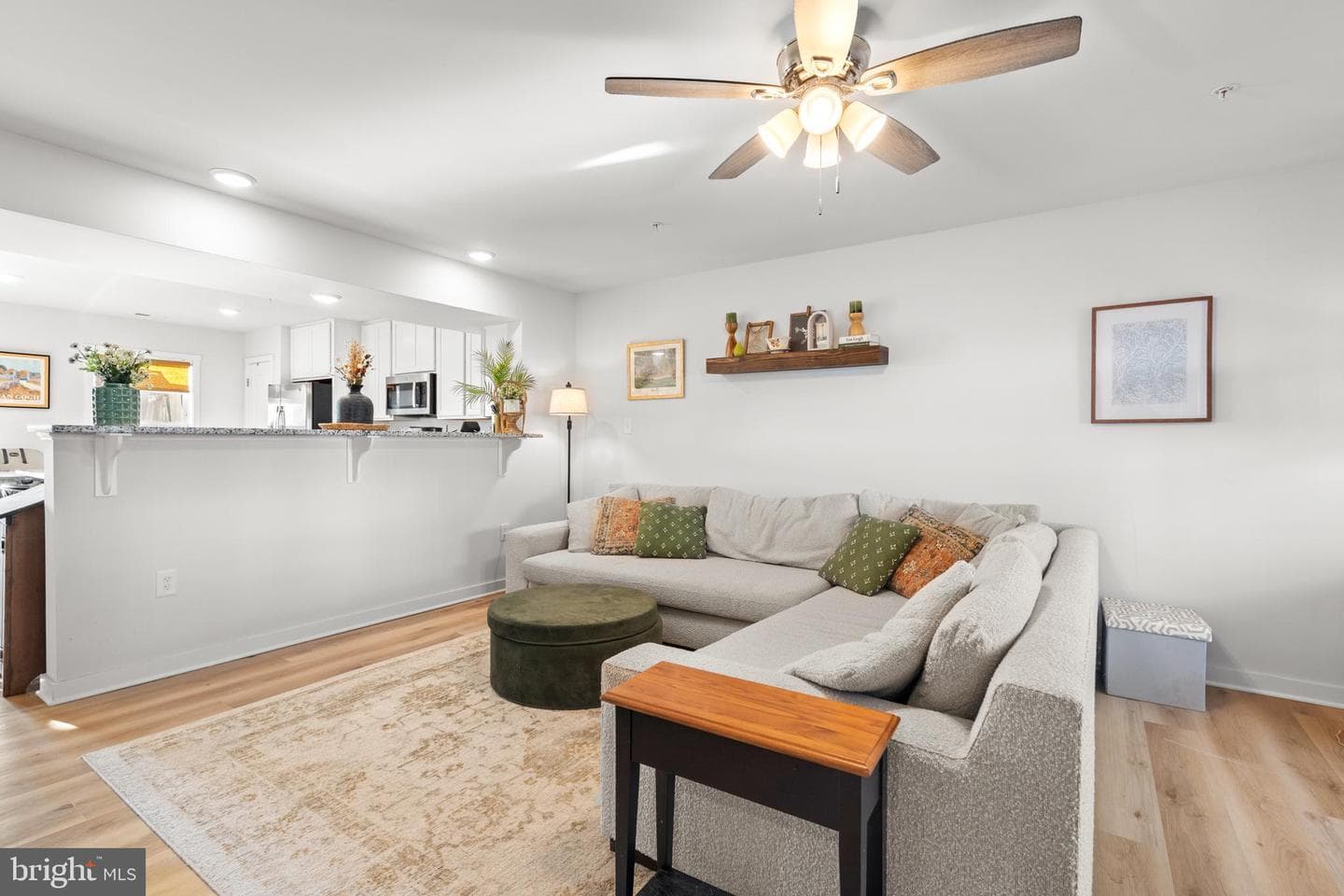 66 Olga Drive photo 6
