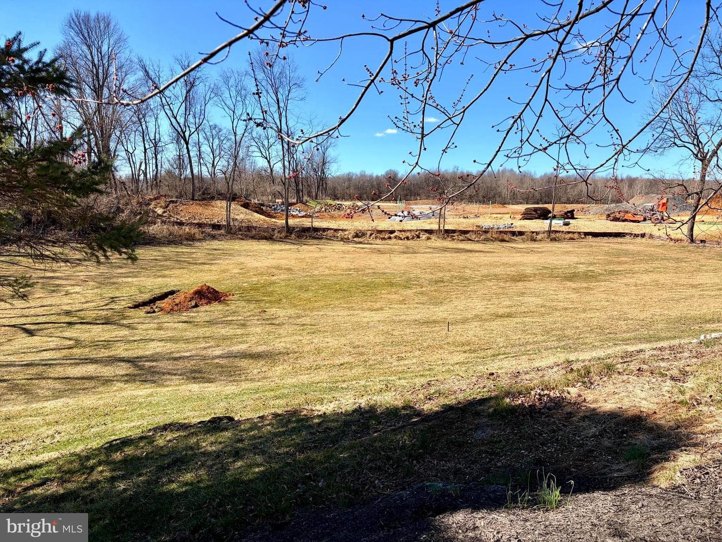 13669 Apple Harvest Drive photo 30