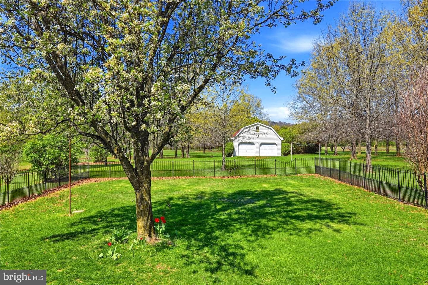 229 Hollis Drive photo 10