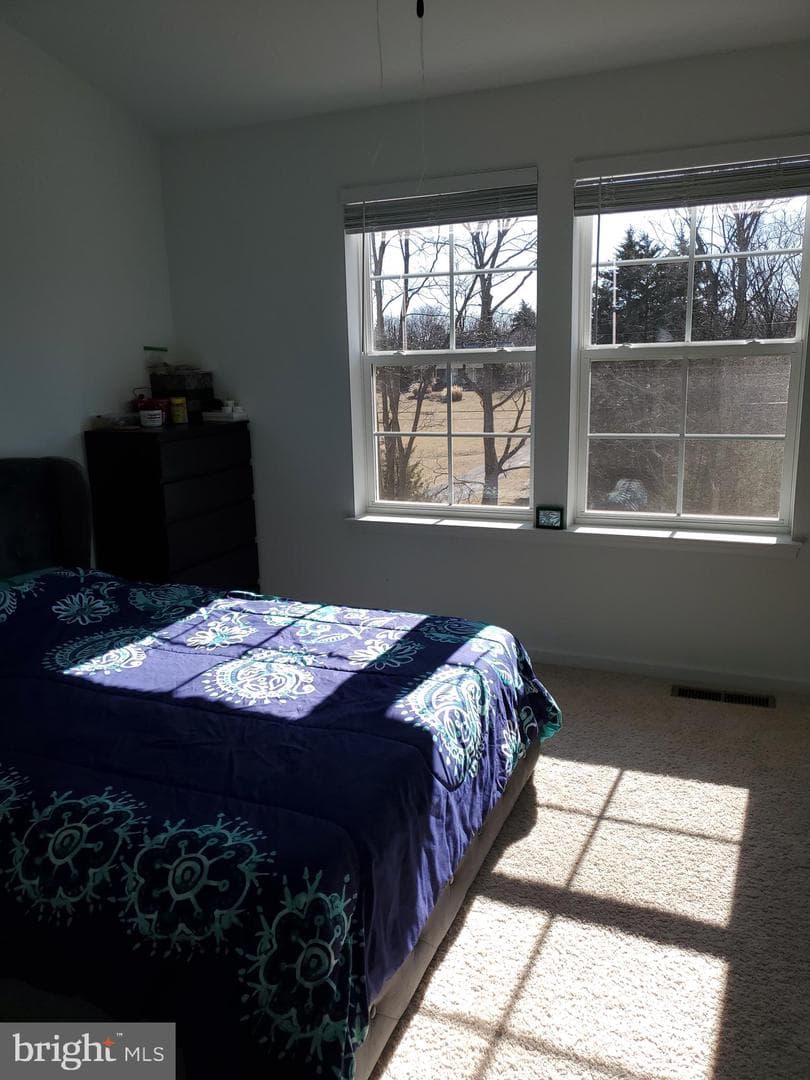 26 Colchester Court photo 13