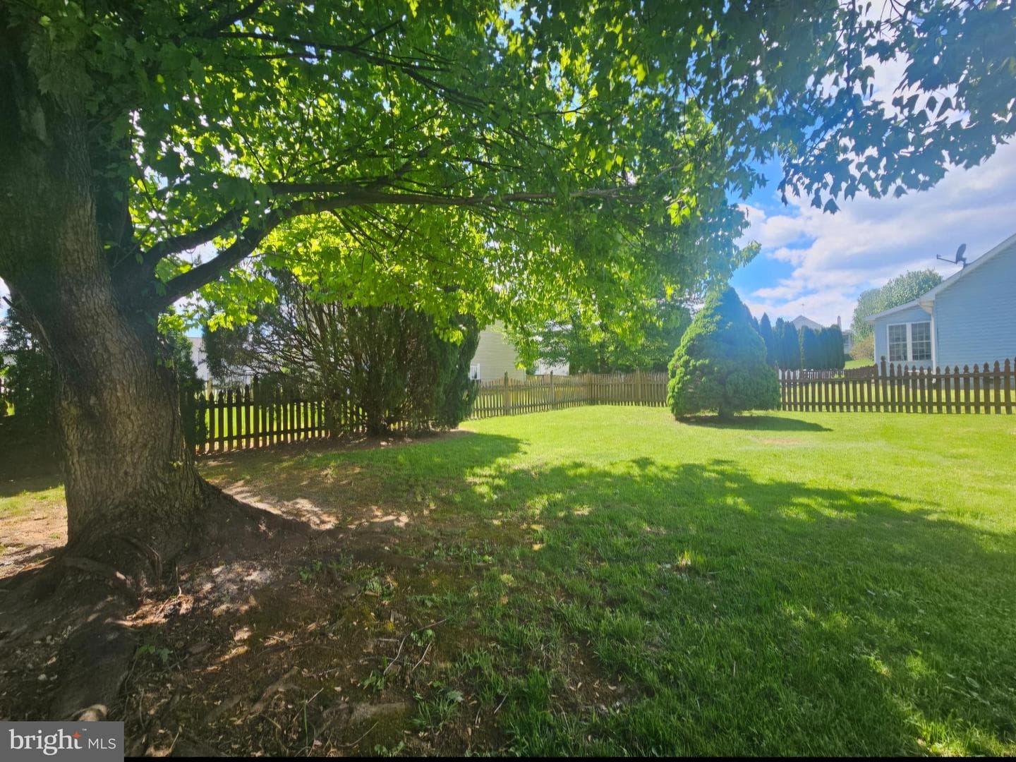 61 Clemson Drive photo 36