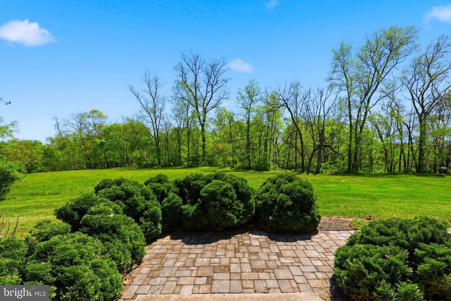 1539 Harold Drive photo 34