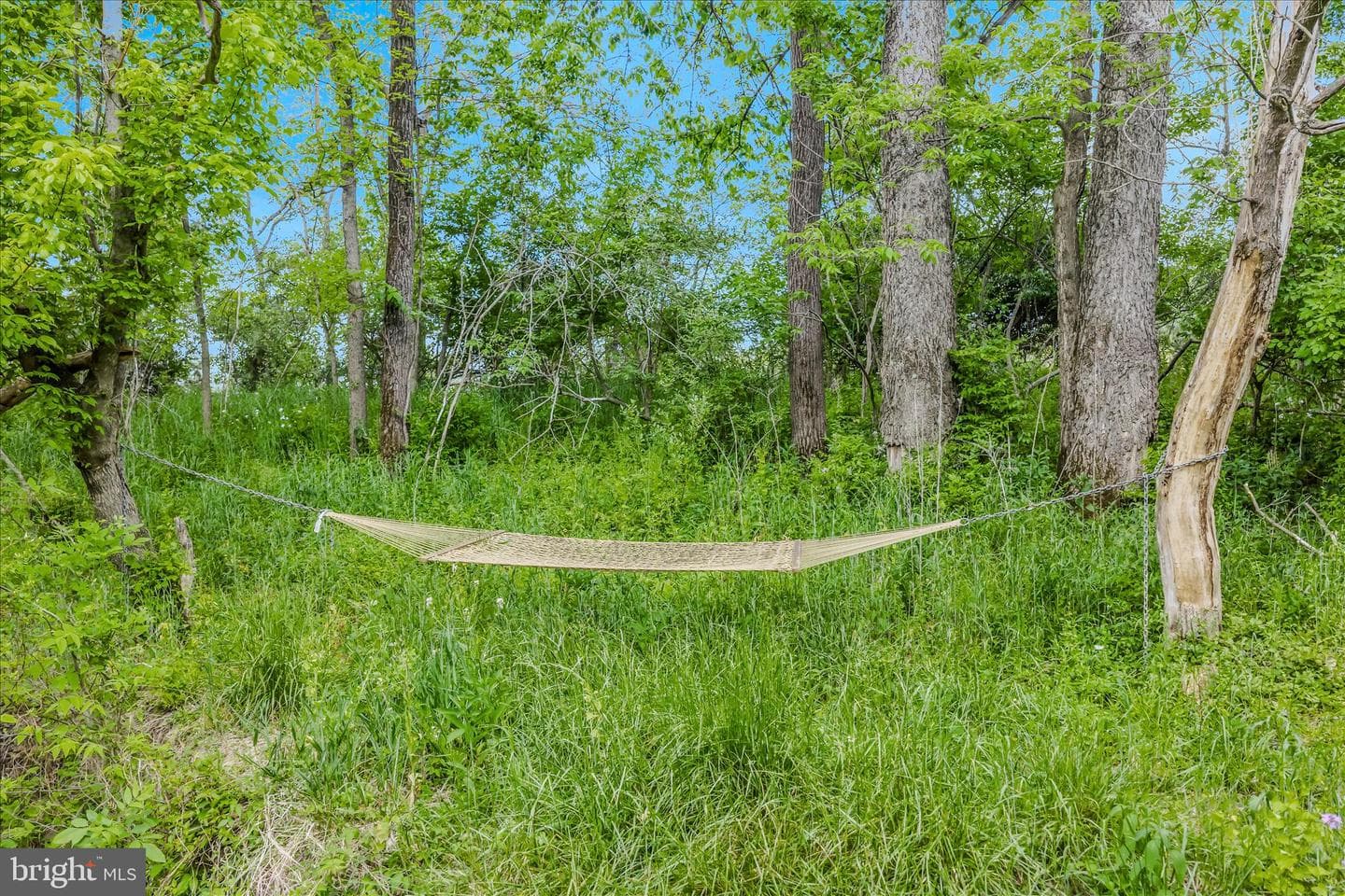 271 Cornelius Grove Road photo 125