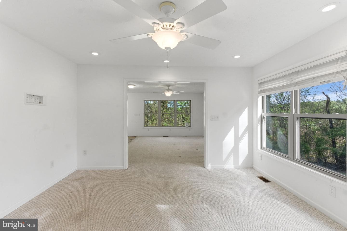 175 Rooney Road photo 45