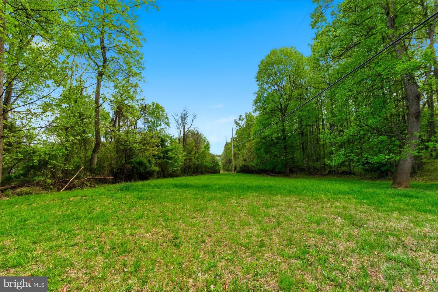 175 Rooney Road photo 74