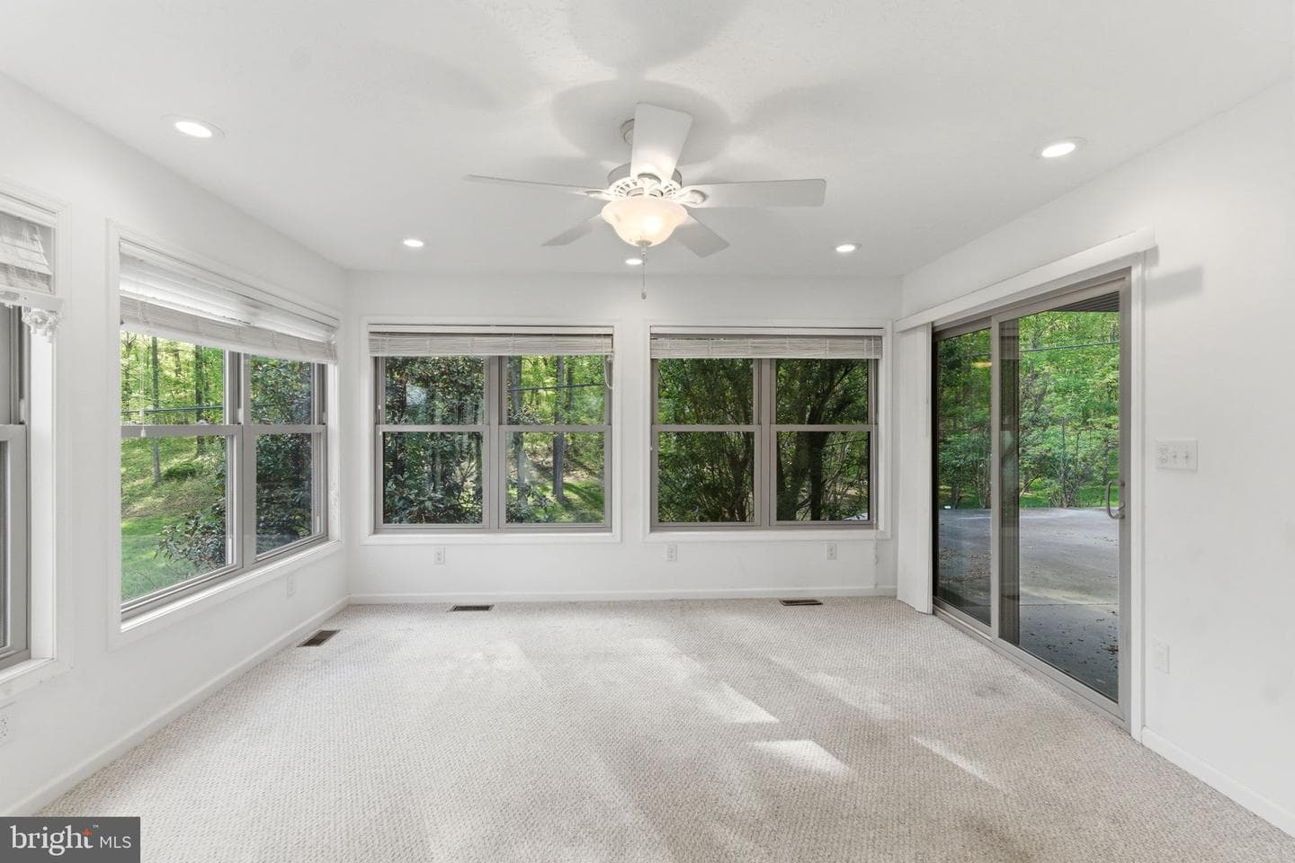 175 Rooney Road photo 75