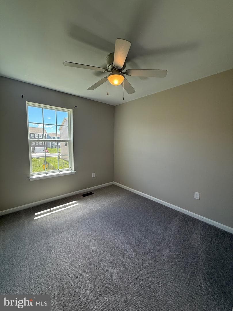 96 Vespucci Lane photo 20