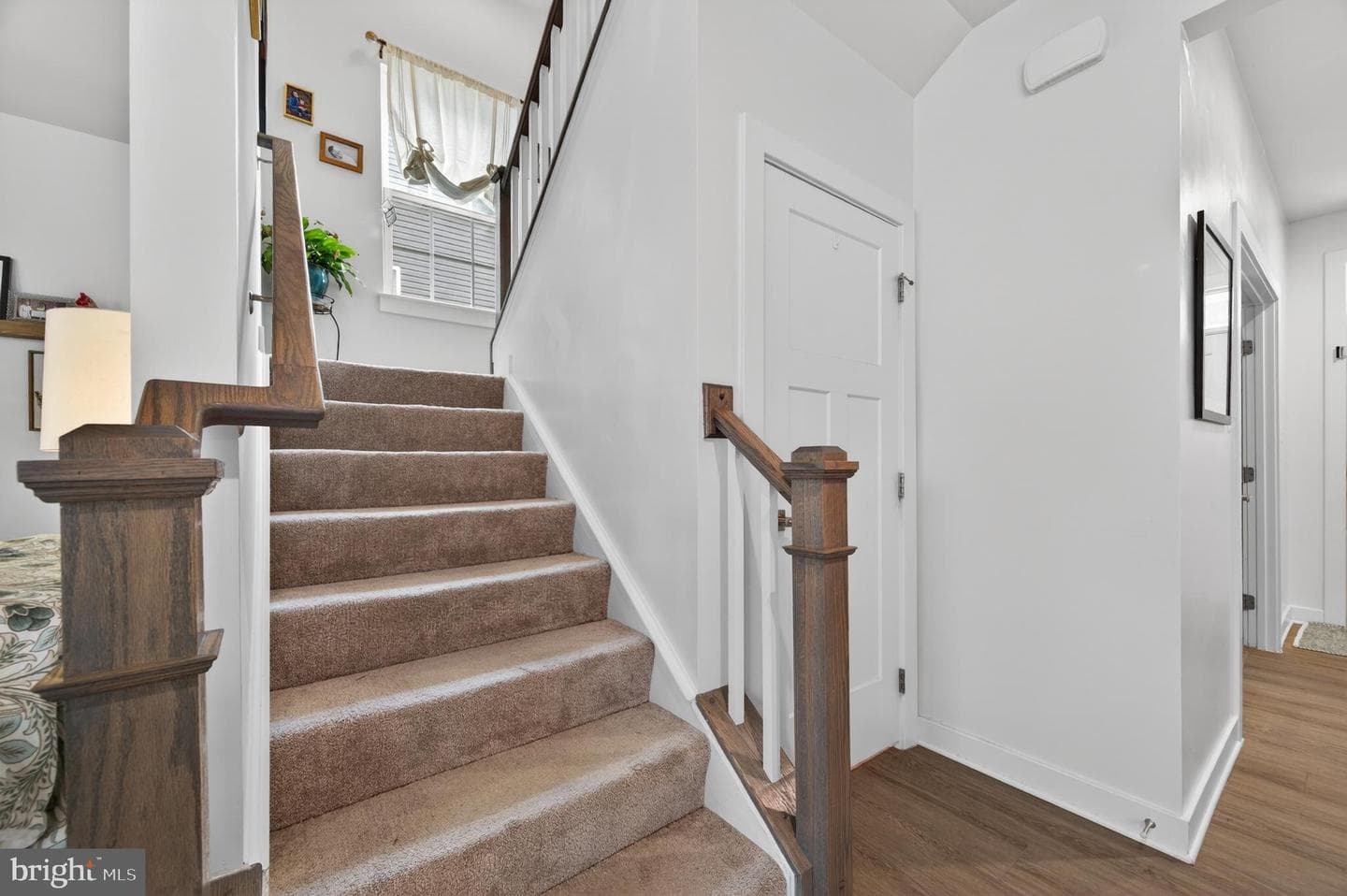 217 Machias Circle photo 23