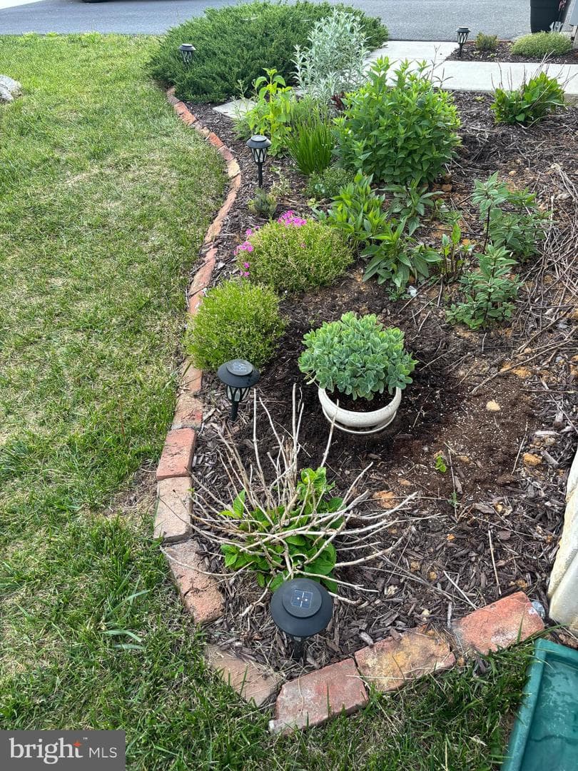 217 Machias Circle photo 57