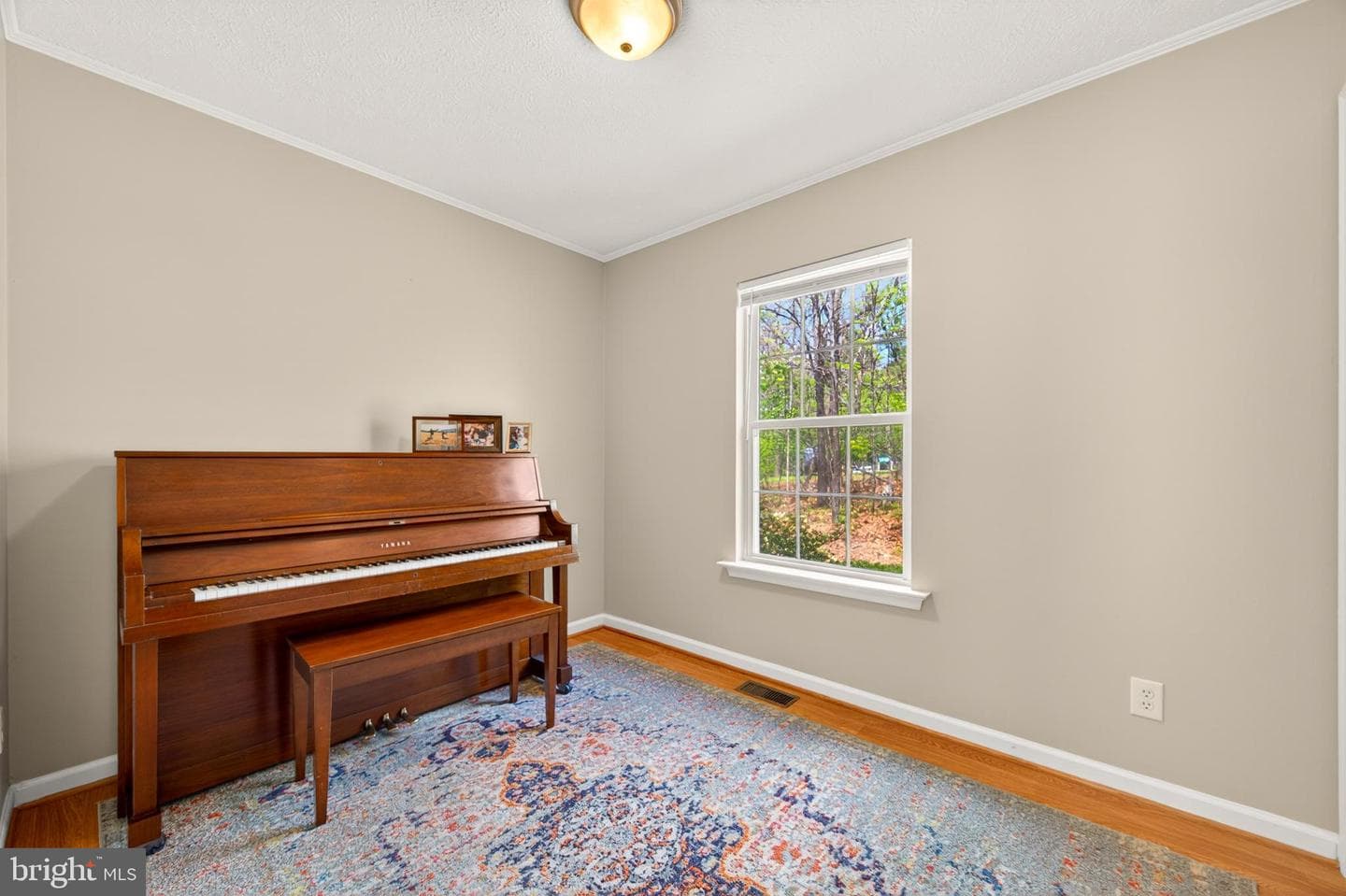 215 Ramblin Rose Lane photo 30
